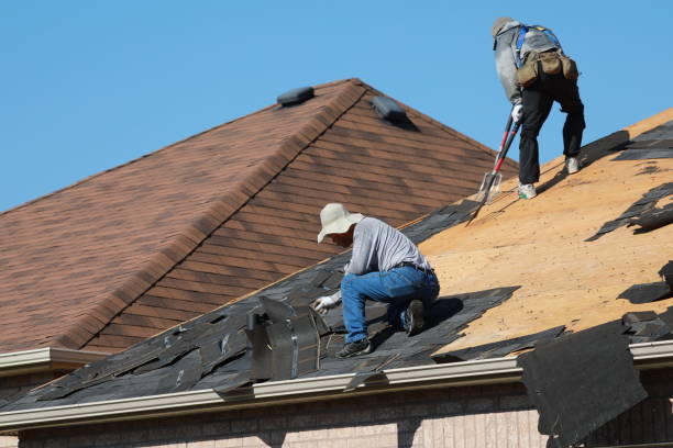 Best Gutter Installation and Repair  in Wayne, OH
