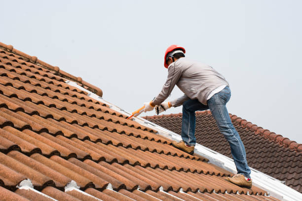 Best Roof Ventilation Installation  in Wayne, OH